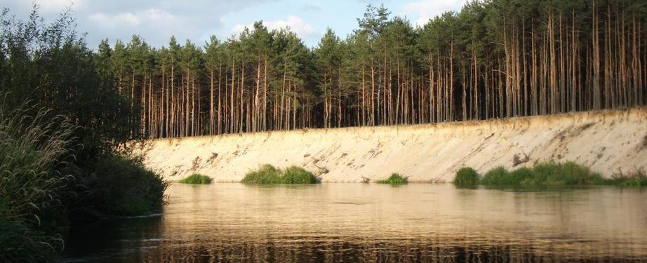 Domki Nad Pilica Krzetow Exteriér fotografie