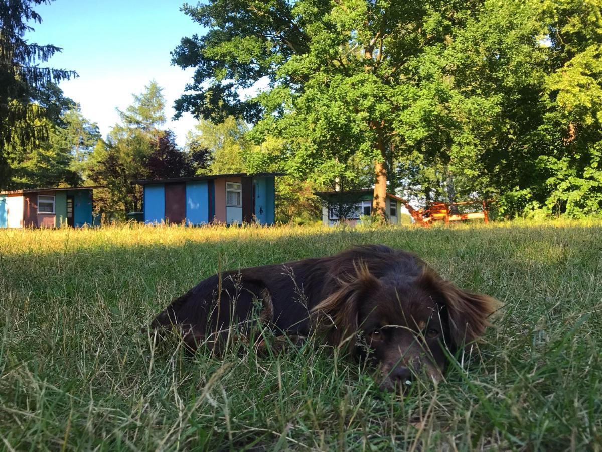 Domki Nad Pilica Krzetow Exteriér fotografie