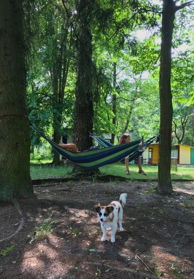 Domki Nad Pilica Krzetow Exteriér fotografie