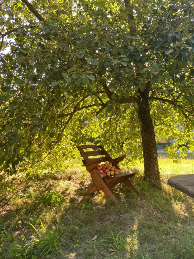 Domki Nad Pilica Krzetow Exteriér fotografie