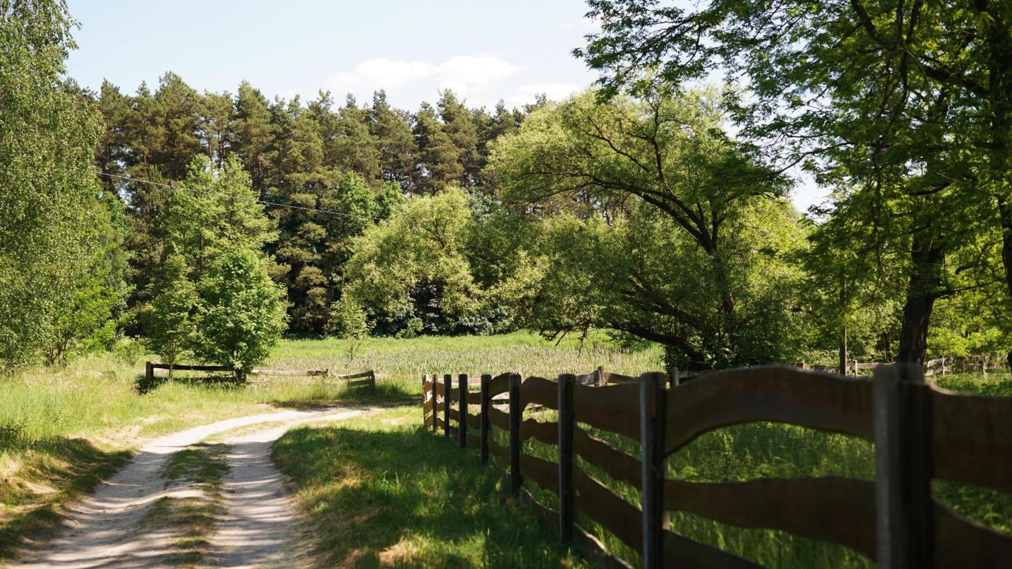 Domki Nad Pilica Krzetow Exteriér fotografie