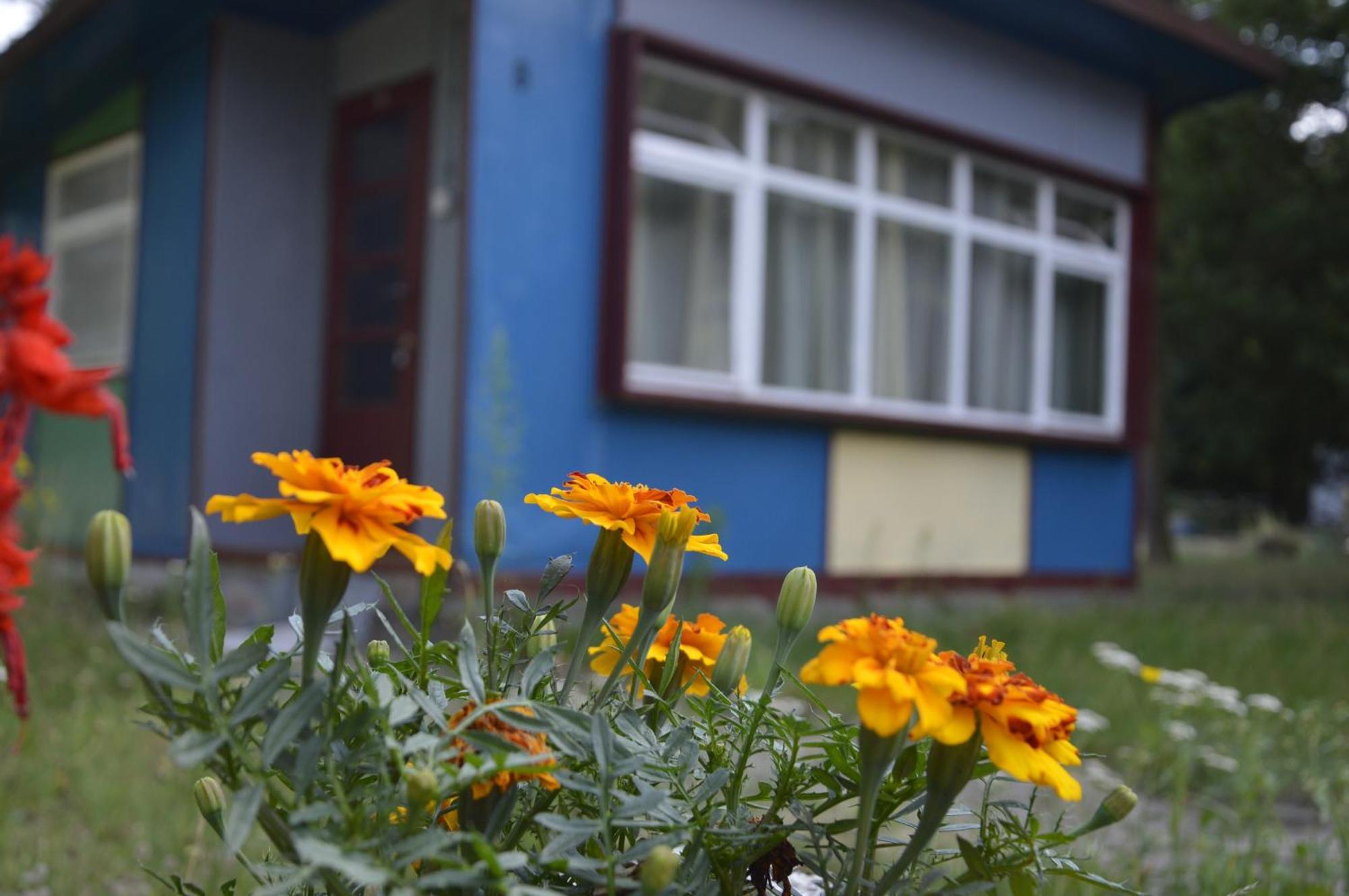 Domki Nad Pilica Krzetow Pokoj fotografie